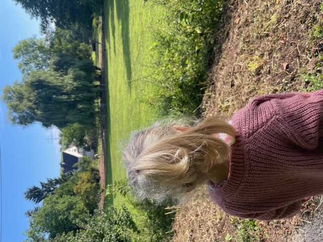 Natur- und Gartenbereich der Kindertagespflege