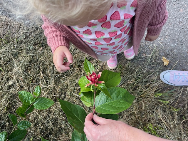 Bewegung und Natur im Alltag