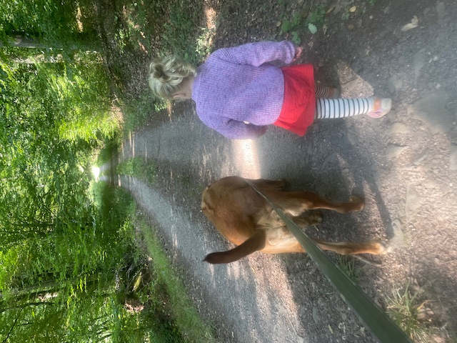 Tiergestützte Pädagogik im Alltag