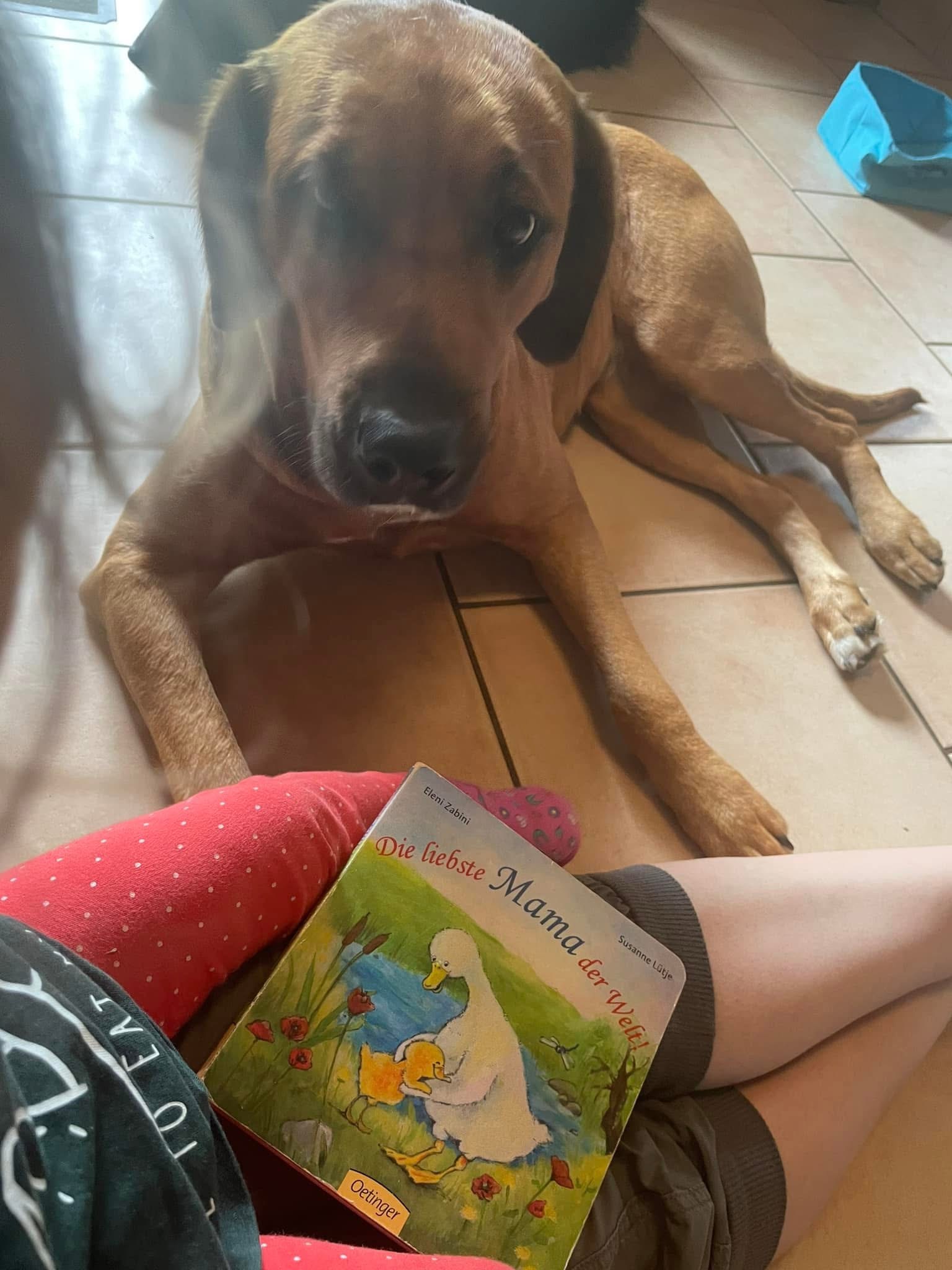 Weiterer Eindruck aus dem Alltag mit Tieren